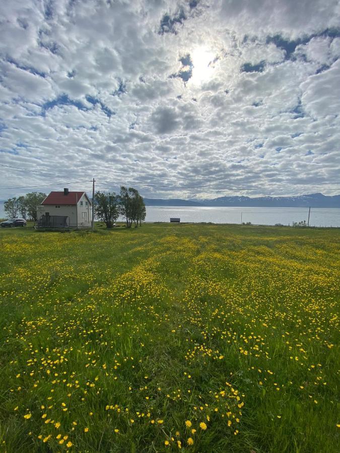 Unique And Charming Holiday Home With Fantastic Sea Views Tromso Bagian luar foto