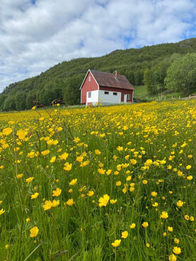 Unique And Charming Holiday Home With Fantastic Sea Views Tromso Bagian luar foto
