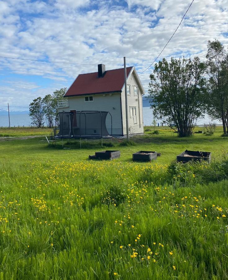 Unique And Charming Holiday Home With Fantastic Sea Views Tromso Bagian luar foto