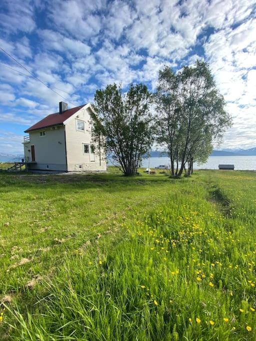 Unique And Charming Holiday Home With Fantastic Sea Views Tromso Bagian luar foto