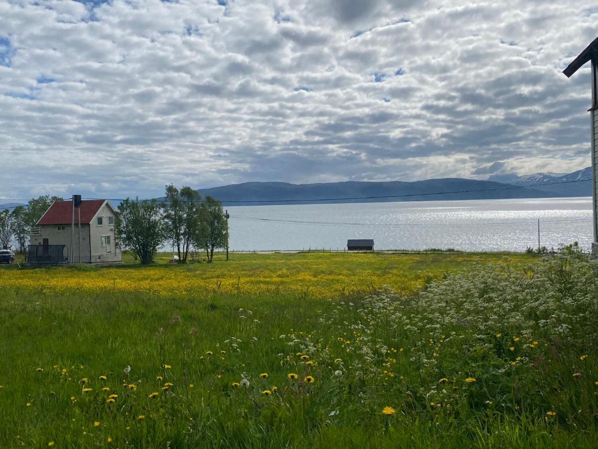 Unique And Charming Holiday Home With Fantastic Sea Views Tromso Bagian luar foto