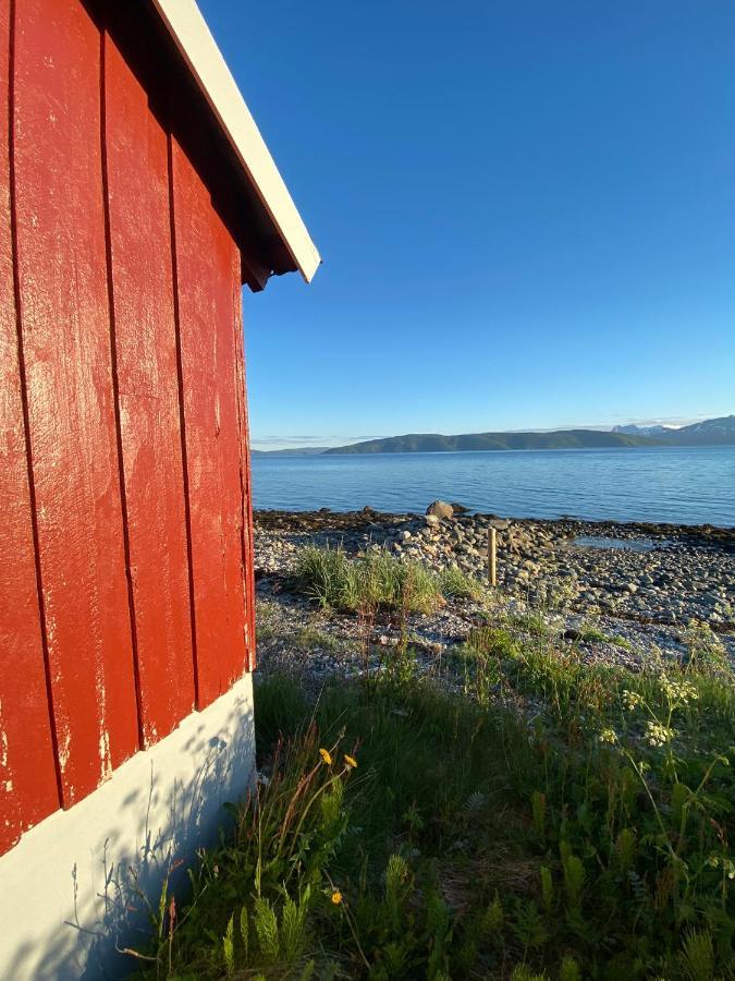 Unique And Charming Holiday Home With Fantastic Sea Views Tromso Bagian luar foto
