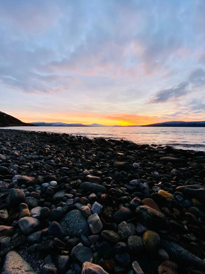 Unique And Charming Holiday Home With Fantastic Sea Views Tromso Bagian luar foto