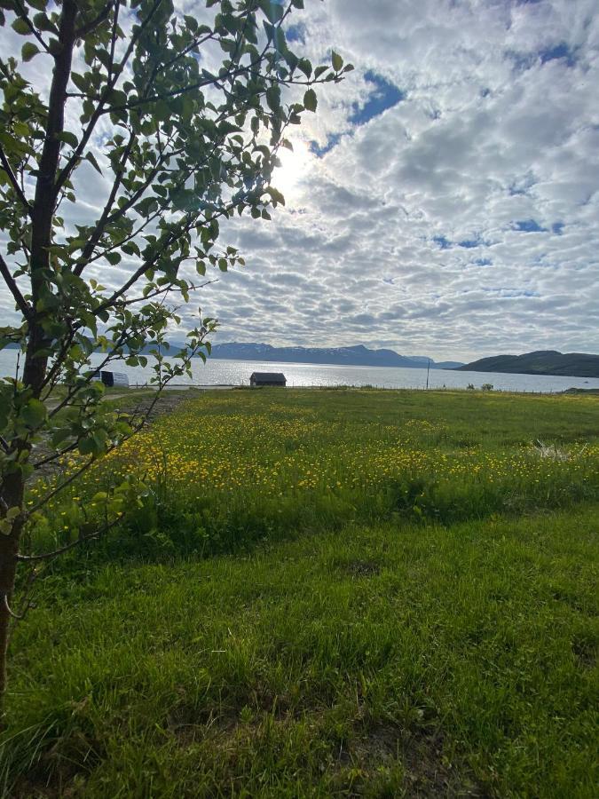 Unique And Charming Holiday Home With Fantastic Sea Views Tromso Bagian luar foto