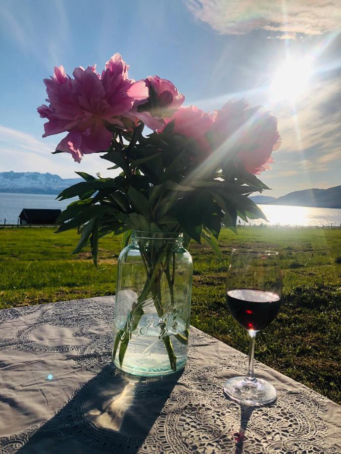 Unique And Charming Holiday Home With Fantastic Sea Views Tromso Bagian luar foto