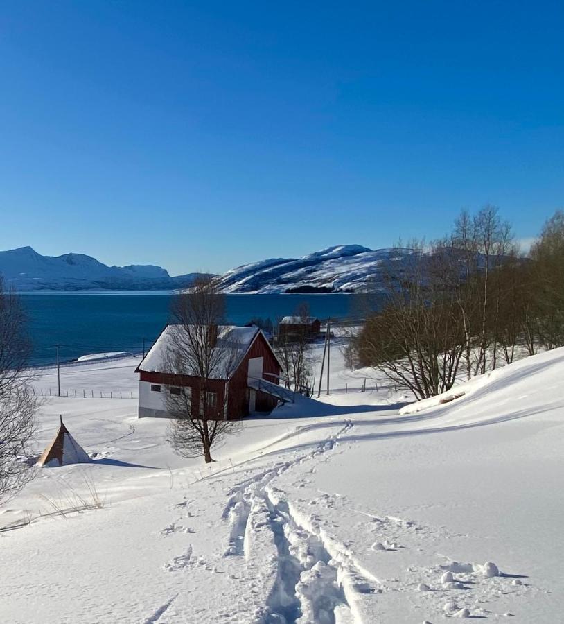 Unique And Charming Holiday Home With Fantastic Sea Views Tromso Bagian luar foto