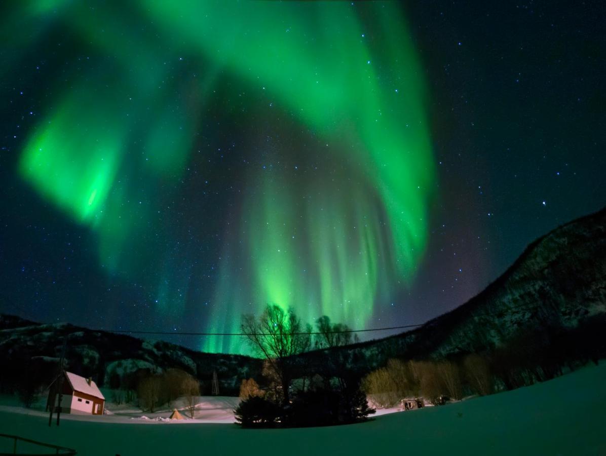 Unique And Charming Holiday Home With Fantastic Sea Views Tromso Bagian luar foto